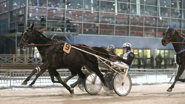 Foto: MARIA HOLMÉN / TR BILD