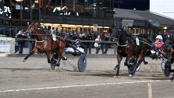 Foto: MALIN ALBINSSON / TR BILD