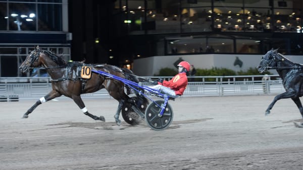 Foto: LARS JAKOBSSON / TR BILD