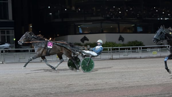 Foto: LARS JAKOBSSON / TR BILD