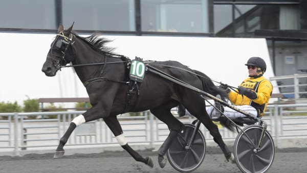 Foto: LARS JAKOBSSON / TR BILD