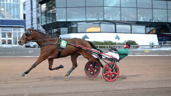 Foto: LARS JAKOBSSON / TR BILD