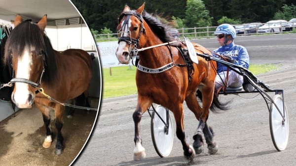 Foto: Privat/TR Bild/Montage