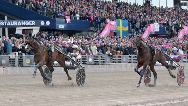 Foto: LARS JAKOBSSON / TR BILD