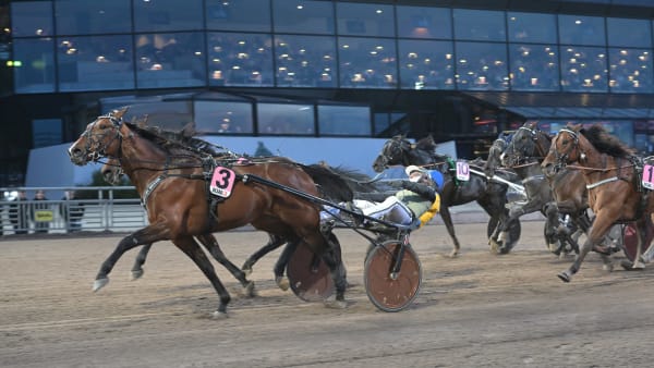 Foto: LARS JAKOBSSON / TR BILD