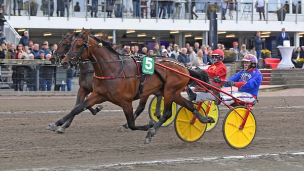 Foto: MALIN ALBINSSON / TR BILD