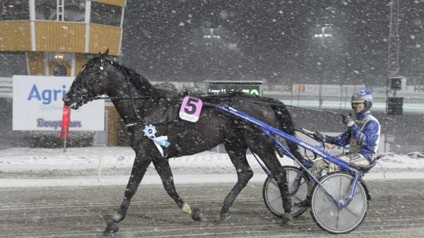 Foto: LARS JAKOBSSON / TR BILD