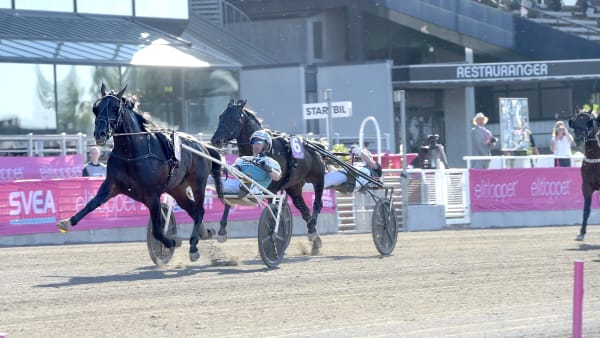 Foto: LARS JAKOBSSON / TR BILD