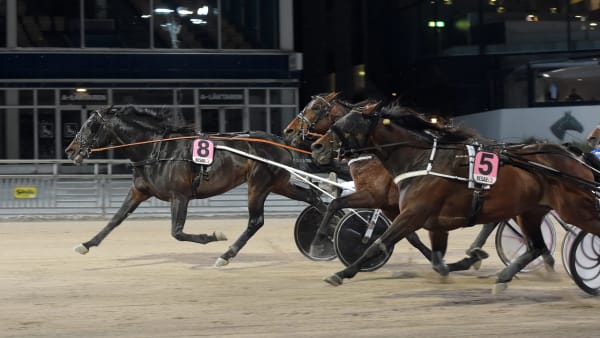 Foto: LARS JAKOBSSON / TR BILD