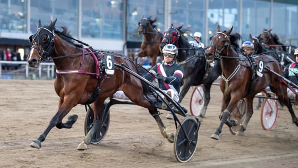 Foto: MIKAEL ROSENQUIST / TR BILD