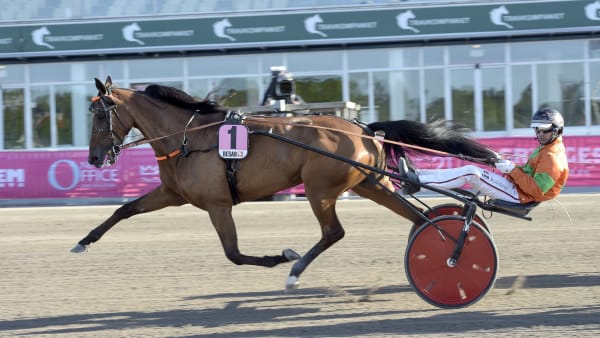 Foto: LARS JAKOBSSON / TR BILD