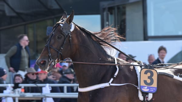 Foto: LARS JAKOBSSON / TR BILD