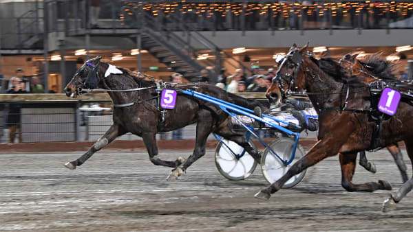 Foto: MALIN ALBINSSON / TR BILD