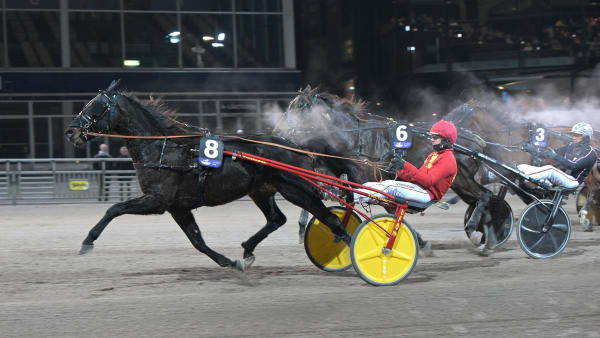 Foto: LARS JAKOBSSON / TR BILD