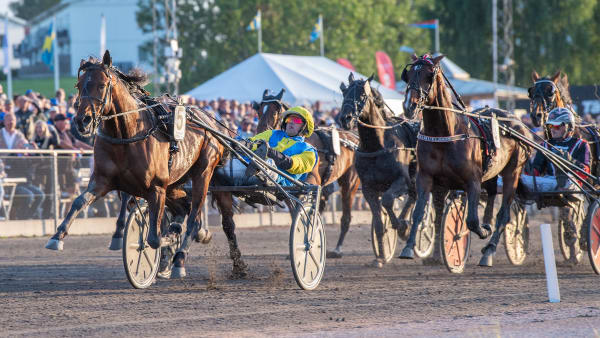 Foto: MIKAEL ROSENQUIST / TR BILD