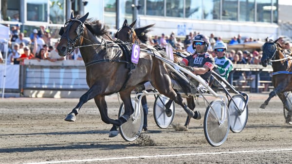 Foto: MALIN ALBINSSON / TR BILD