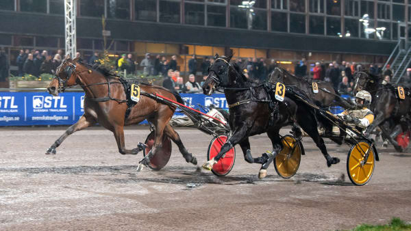 Foto: MIKAEL ROSENQUIST / TR BILD
