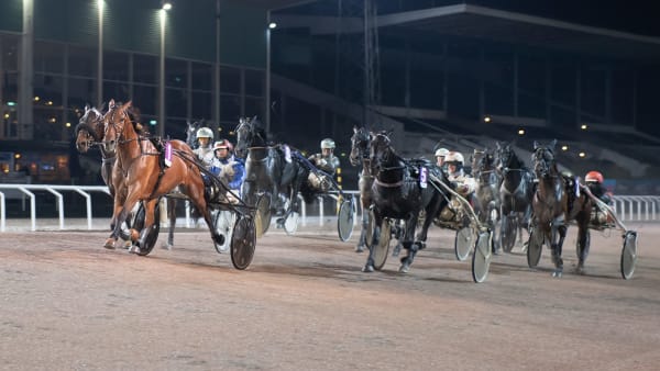 Foto: MIKAEL ROSENQUIST / TR BILD