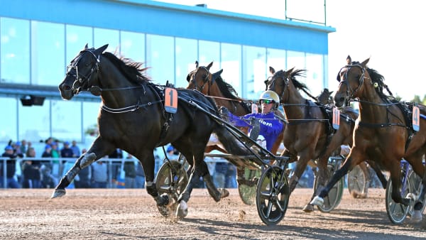 Foto: MARIA HOLMÉN / TR BILD