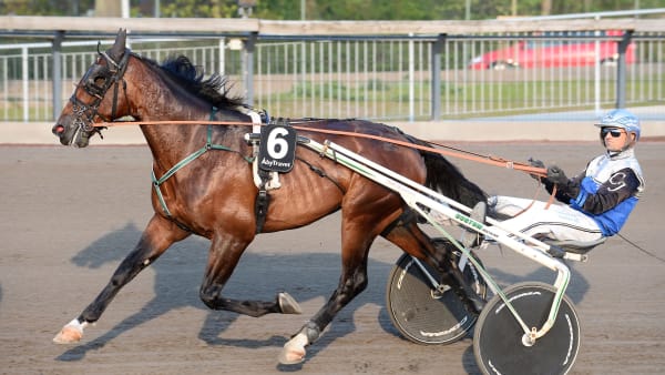 Foto: MALIN ALBINSSON / TR BILD