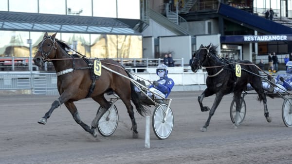 Foto: LARS JAKOBSSON / TR BILD
