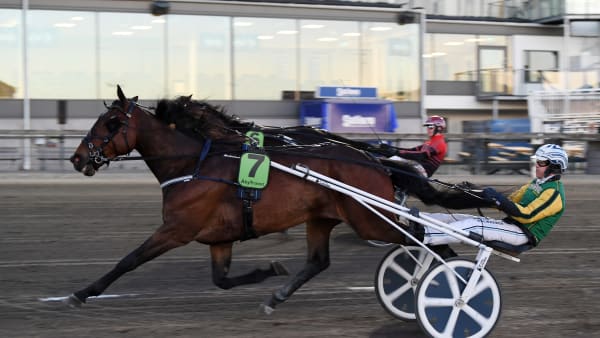 Foto: MALIN ALBINSSON / TR BILD