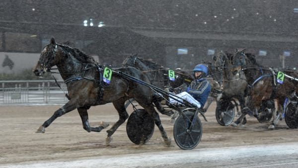 Foto: LARS JAKOBSSON / TR BILD