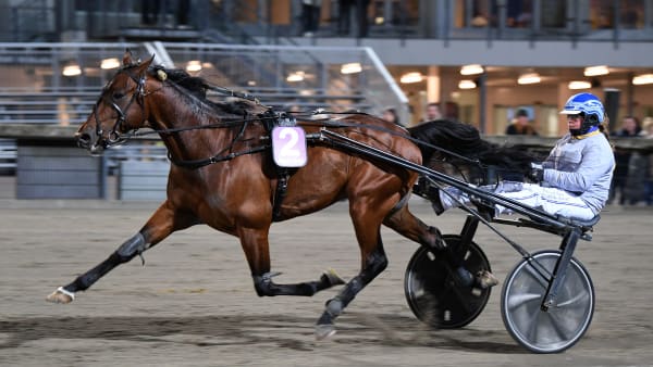 Foto: MALIN ALBINSSON / TR BILD
