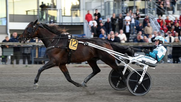 Foto: MALIN ALBINSSON / TR BILD