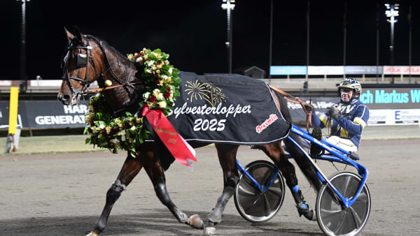 Foto: MALIN ALBINSSON / TR BILD