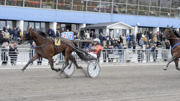 Foto: LARS JAKOBSSON / TR BILD