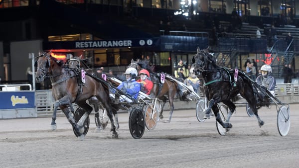 Foto: LARS JAKOBSSON / TR BILD