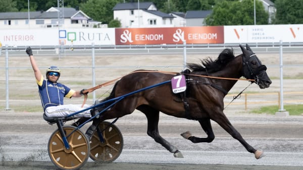 Foto: Ned Alley/Hesteguiden.com