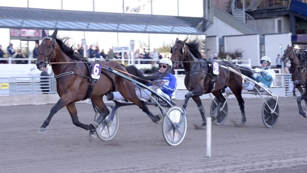 Foto: LARS JAKOBSSON / TR BILD