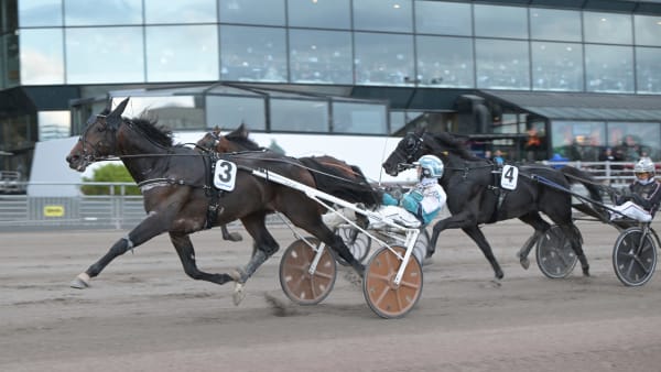 Foto: LARS JAKOBSSON / TR BILD