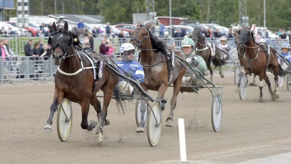 Foto: LARS JAKOBSSON / TR BILD