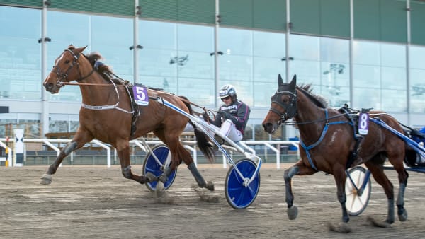 Foto: MIKAEL ROSENQUIST / TR BILD