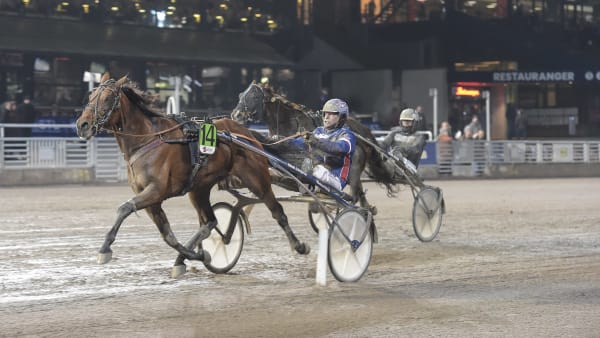 Foto: LARS JAKOBSSON/TR BILD