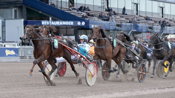 Foto: LARS JAKOBSSON / TR BILD