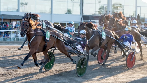 Foto: MIKAEL ROSENQUIST / TR BILD