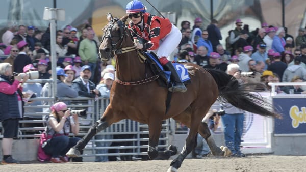 Foto: LARS JAKOBSSON / TR BILD