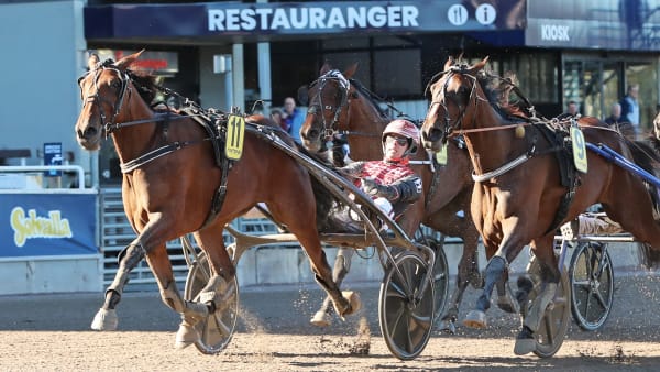 Foto: MARIA HOLMÉN / TR BILD