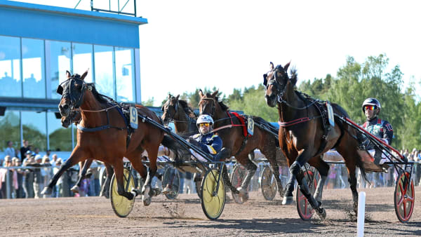 Foto: MARIA HOLMÉN / TR BILD