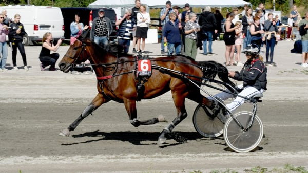 Foto: Petri Johansson/TR Bild