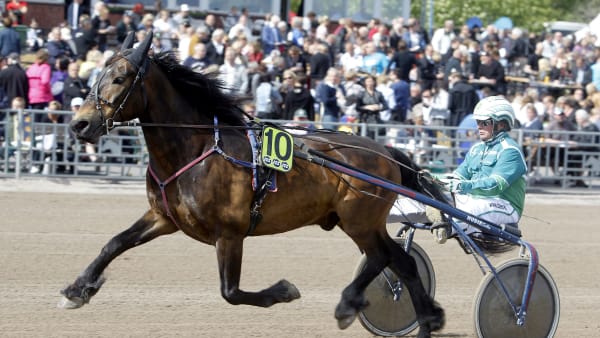 Foto: MICKE GUSTAFSSON / TR BILD