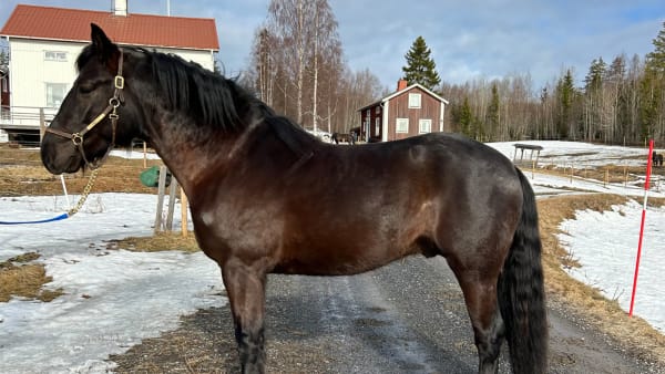 Foto: Privat