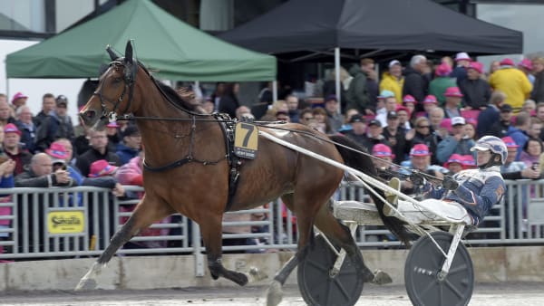 Foto: LARS JAKOBSSON / TR BILD