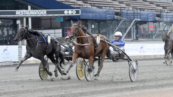 Foto: LARS JAKOBSSON / TR BILD