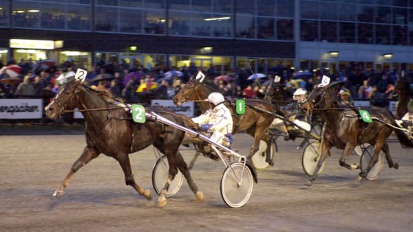 Foto: LARS JAKOBSSON / TR BILD