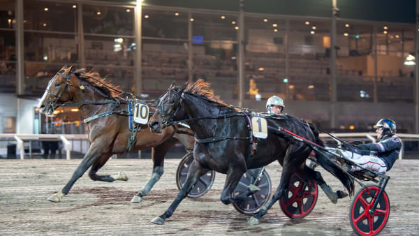 Foto: MIKAEL ROSENQUIST / TR BILD